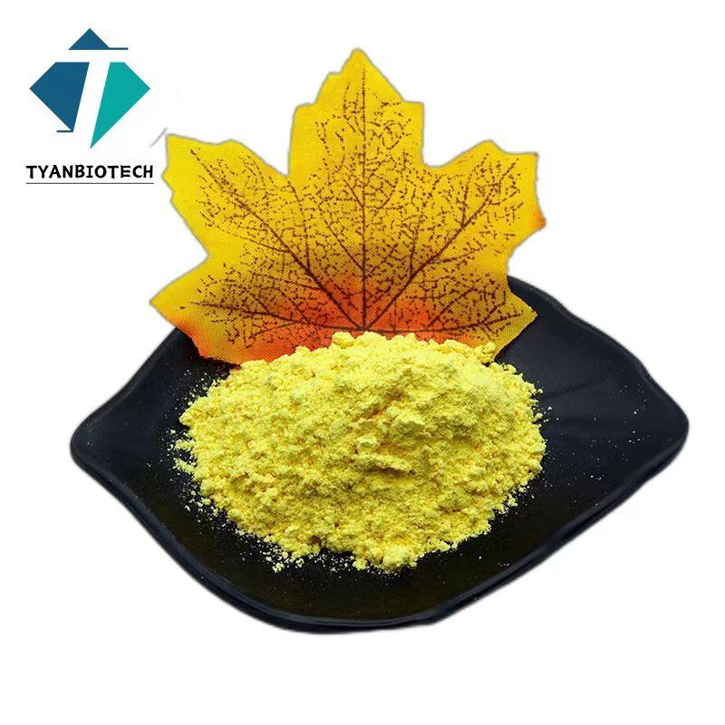 High Quality Sophora Japonica Extract Quercetin 98% Quercetin Plant Extract