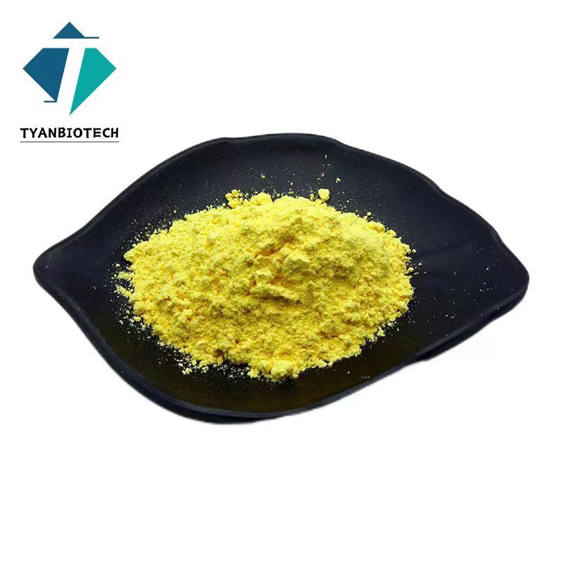 High Quality Sophora Japonica Extract Quercetin 98% Quercetin Plant Extract