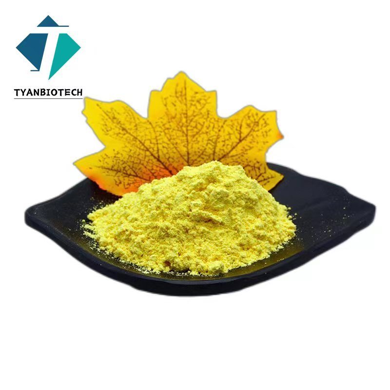 High Quality Sophora Japonica Extract Quercetin 98% Quercetin Plant Extract