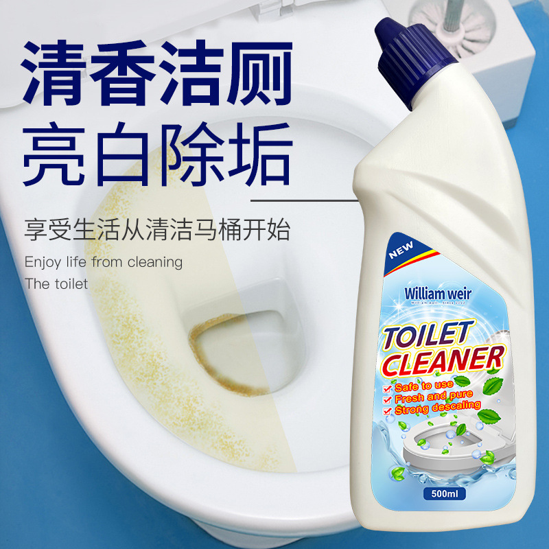 New Home Mint Flavored Toilet Deodorizing and Strong Deodorizing and Staining Toilet Cleaner