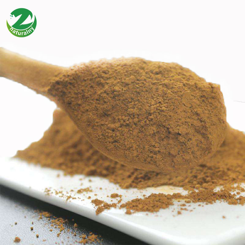 Best sell Natural organic dandelion root powder