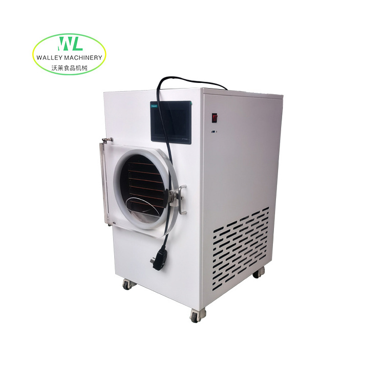 High Quality Home Use Vacuum Freeze Dryer for Food