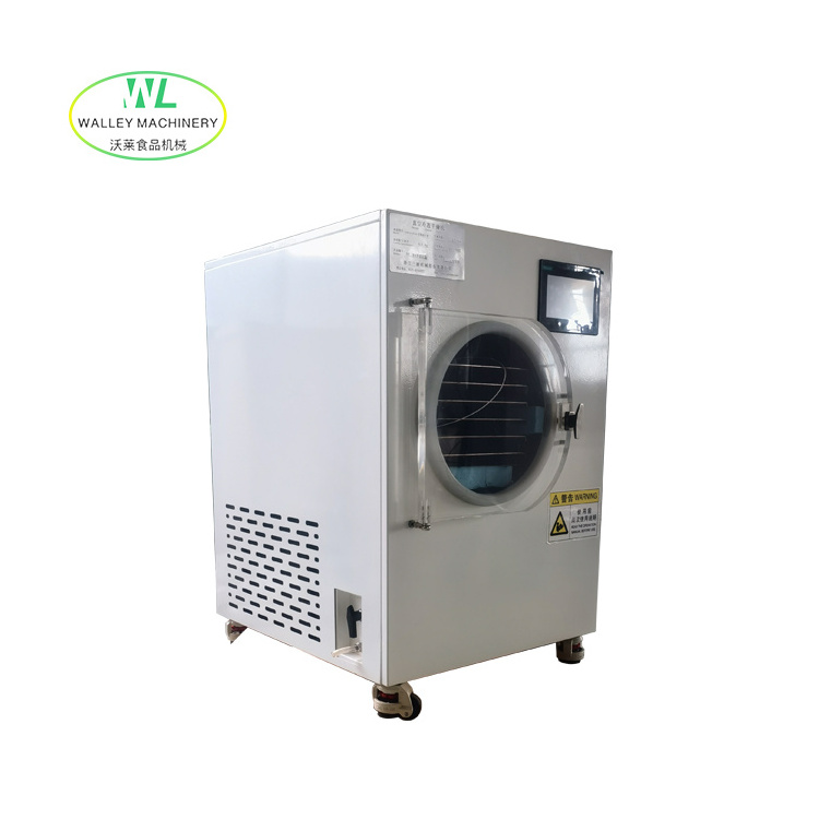 High Quality Home Use Vacuum Freeze Dryer for Food