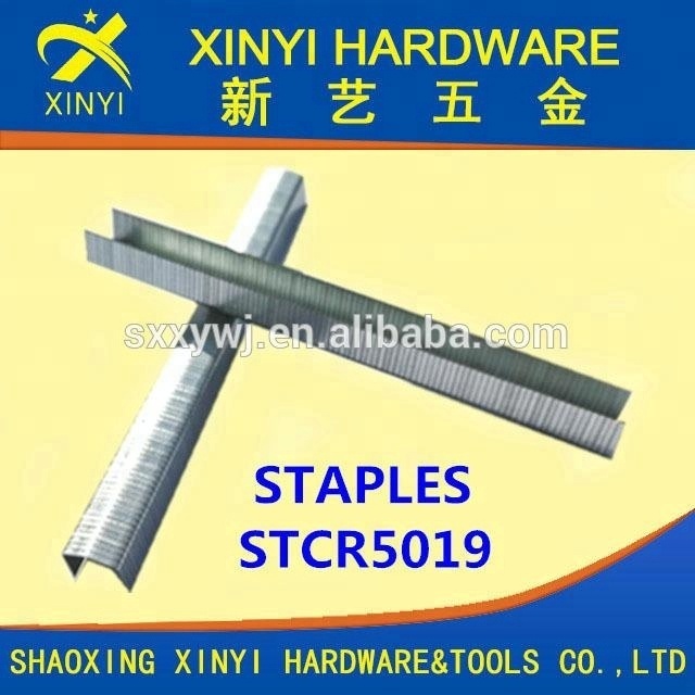 XINYI STCR 5019 staples pin upholstery steel staple galvanized zinc finishing wire staples for hammer tacker