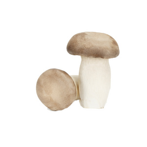 Small sized China Origin King Brown Mushrooms King Oyster