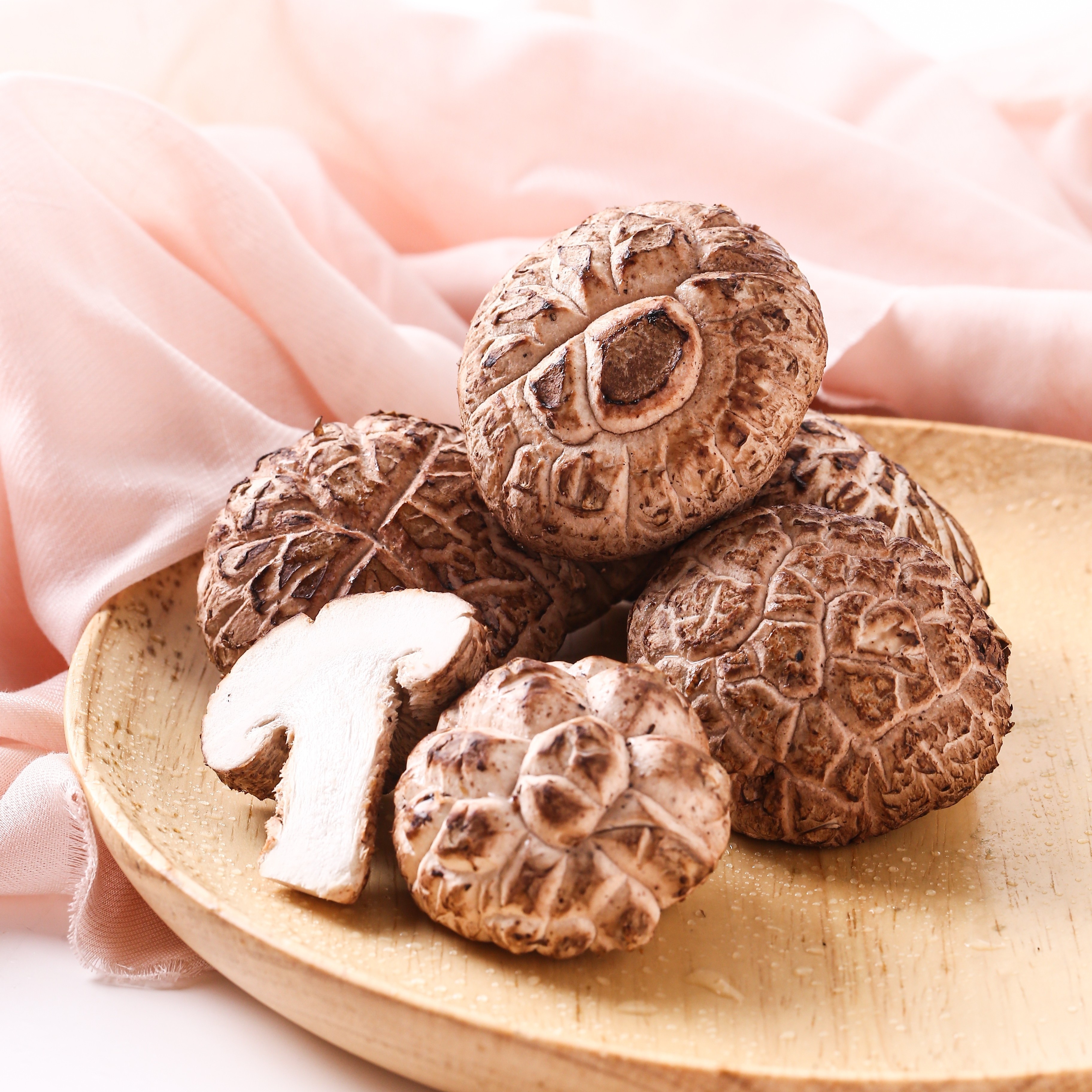 Exotic China Fresh mushroom Shiitake Mushrooms Wild