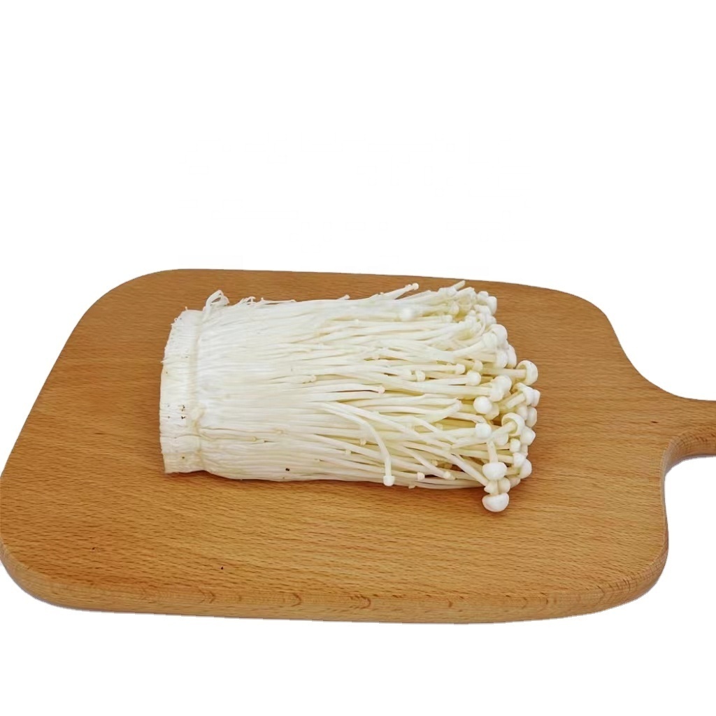 China Delicious 100g 150g 200g  Golden Needle Fresh White Enoki Mushroom