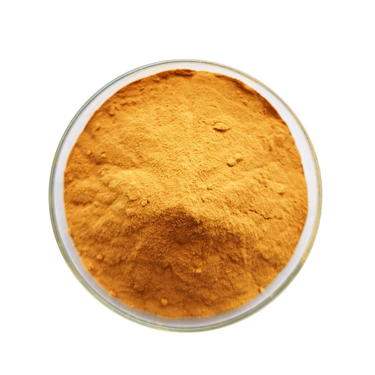 Natural Food Grade 5% 20% Zeaxanthin Marigold Extract Powder