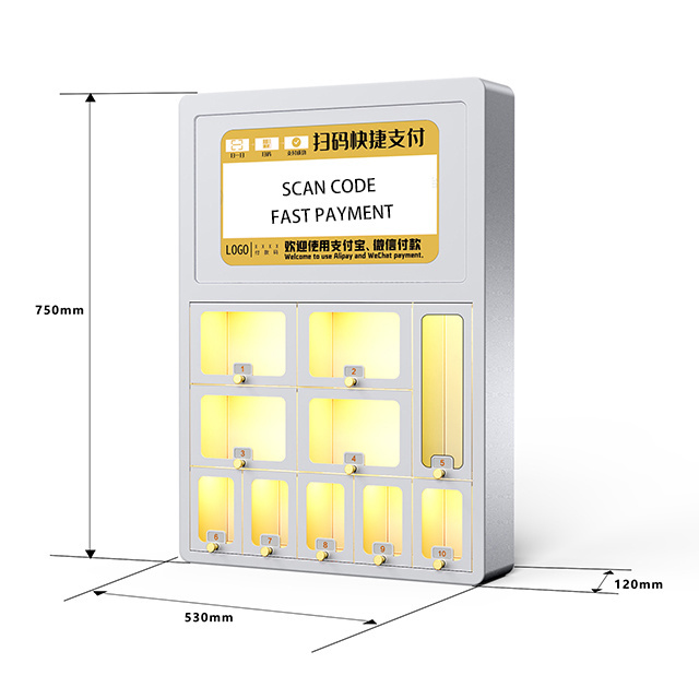 OEM Factory Custom Intelligent Parcel Cabinet Locker RFID Key Cell Phone Charging Storage Locker For Shopping Mall