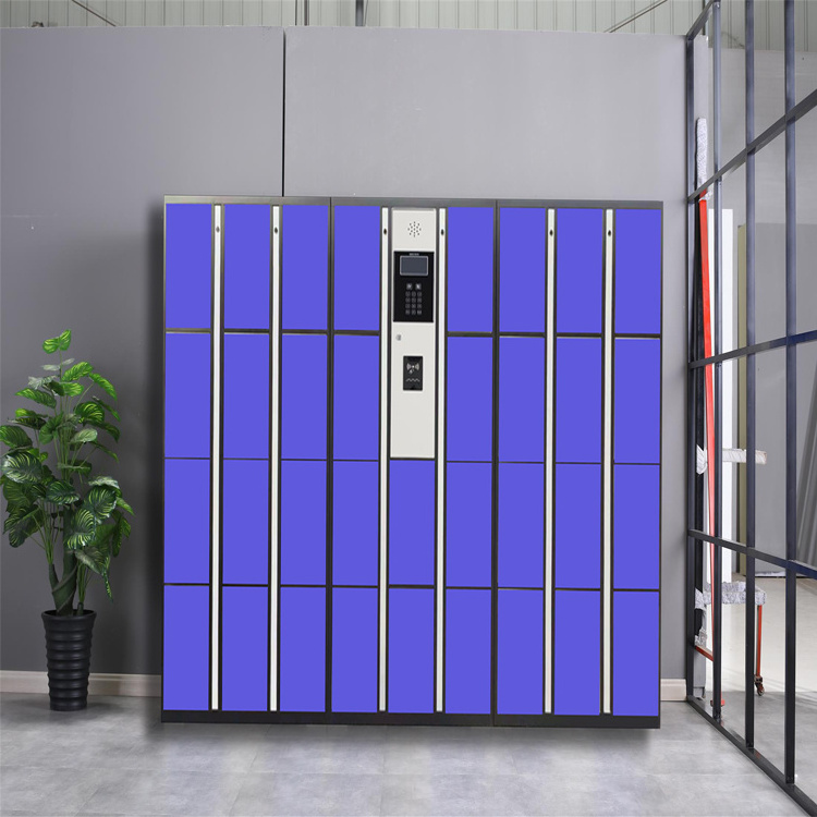 OEM Factory Custom Outdoor Waterproof 12 Doors Smart Personal Metal Locker Self Storage Luggage Locker For Sale