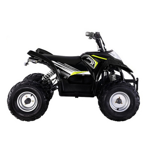 lead acid electric ATV quad electric 4 wheeler 500W four wheel motorcycle