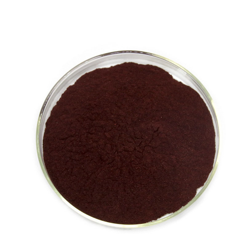 Bulk Organic Instant Coffee Instant Formula Mushroom coffee powder