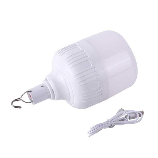 Nature hike outdoor USB chargeable light home emergency battery led bulb 30w 40w 50w