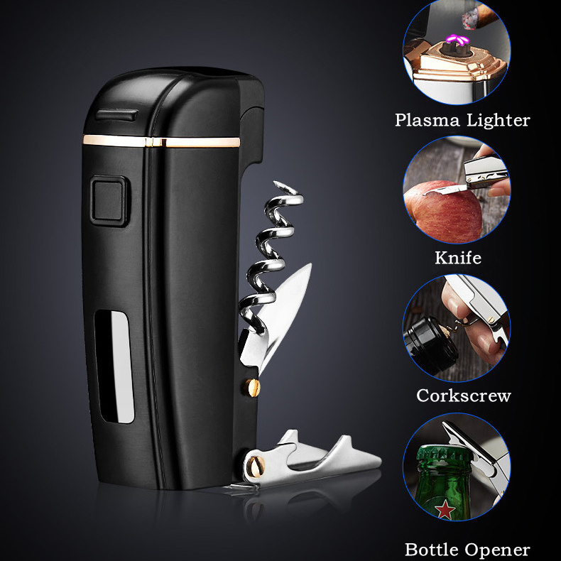 Electric Arc Rechargeable Lighter Windproof Flameless Lighter Plasma Lighter with Battery Indicator