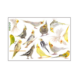 Cockatiel Peony Parrot Wall Sticker Living Room Background Wall Room Decoration Wall Sticker Self-Adhesive Wholesale PVC Sticker