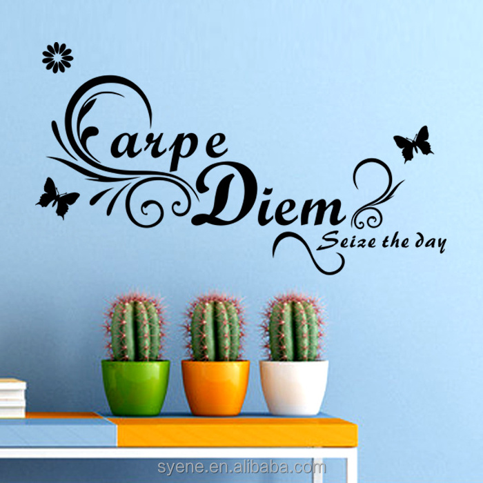 home wall decoration 3d art vinyl alphabet letter quotes Latin carpe diem wall paper home decor removable butterfly wall sticker