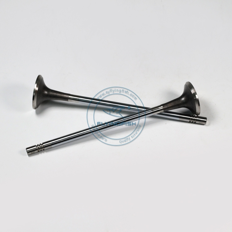 Air Evacuation Bleeding Release Relief Exhaust Valve D5010222712  for DCi11 Diesel Engine Parts