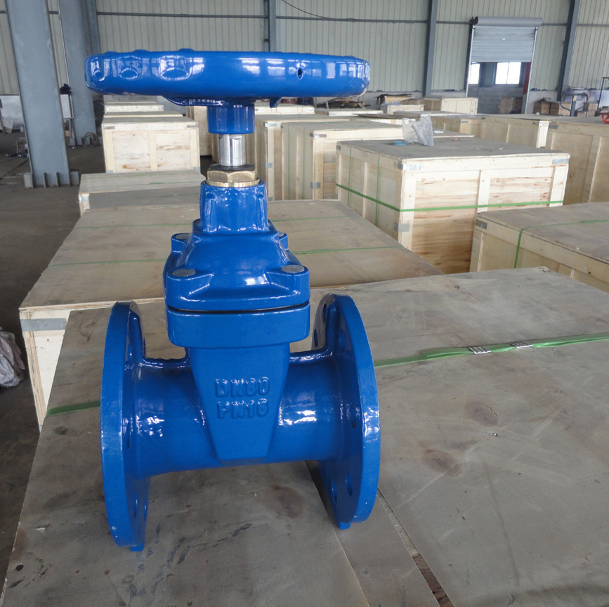 Excellent Corrosion Protection BS5163 Ductile Iron Double Flanged Resilient Seat Gate Valves