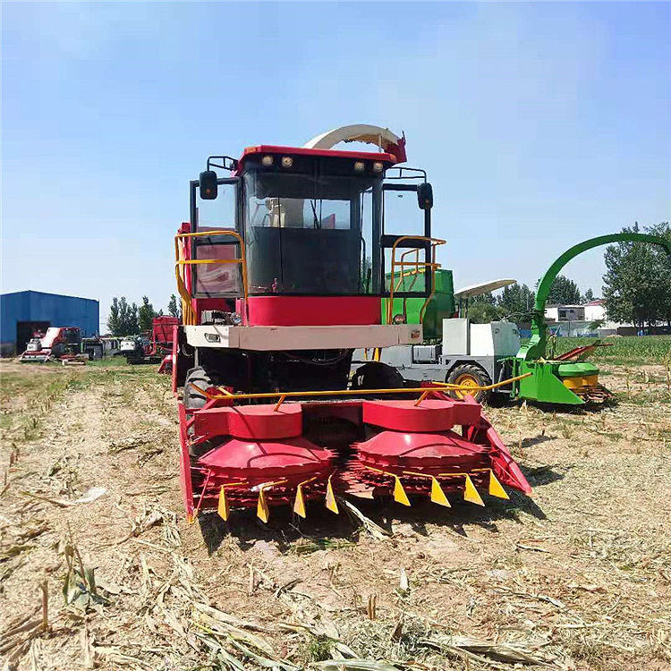 2024 Agricultural Green Forage Harvester Mini Sweet Corn Silage Combine Harvester Tractor Machines for Sale