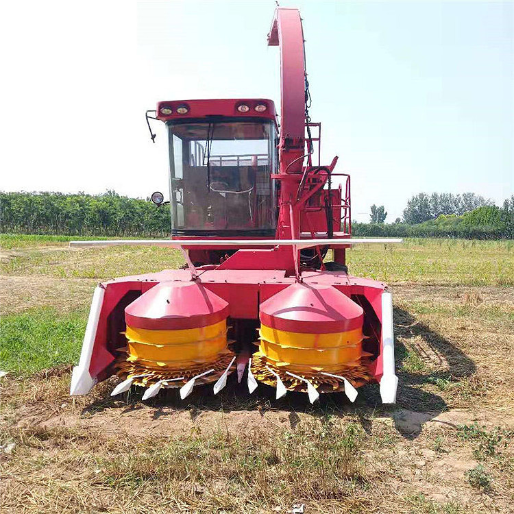 Gainjoys sunflower used corn  harvester price of wheat harvester