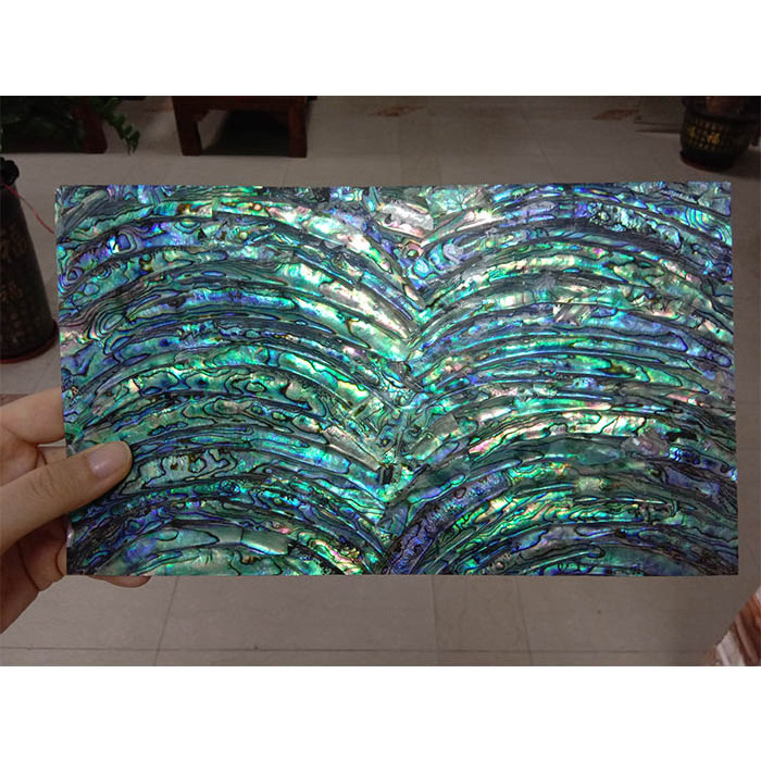 New Zealand paua shell sheet for nail abalone shell as wall tiles with back and resin coating