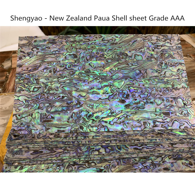 New Zealand paua abalone shell