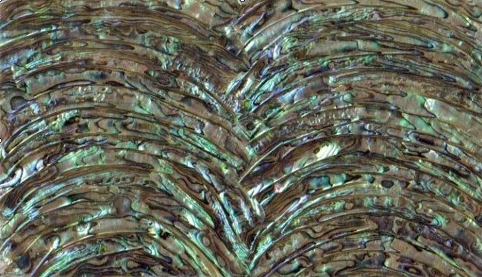 Instrument Decoration Nail Art Abalone Seashell Laminated Veneer Mother Of Pearl Shell Sheet