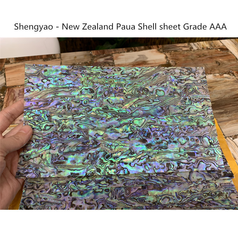 New Zealand paua abalone shell