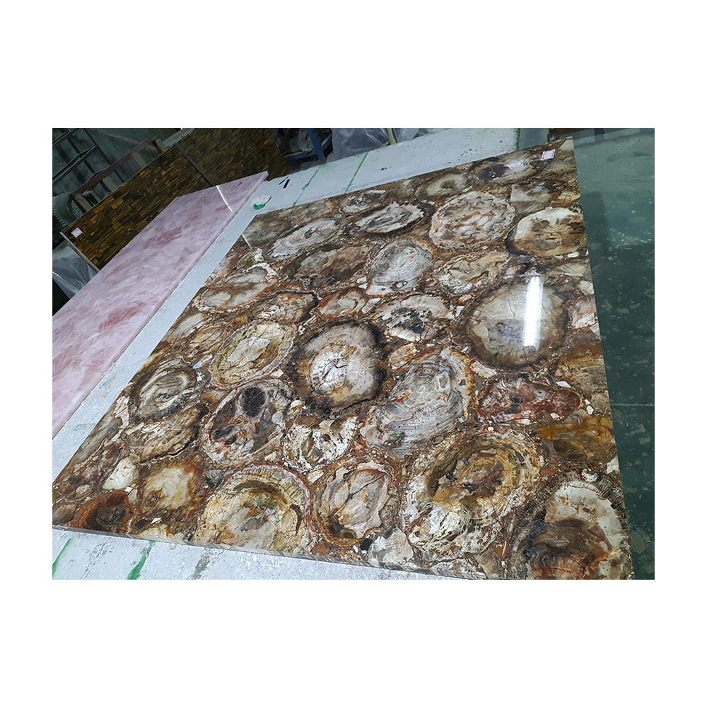 Wholesale Petrified Wood Big Slab For Fossil Sink Kitchen Countertop