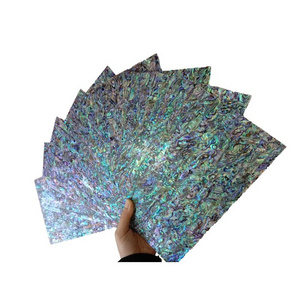 Wholesale high quality New Zealand abalone sea shells craft large size abalone shell for jewelry