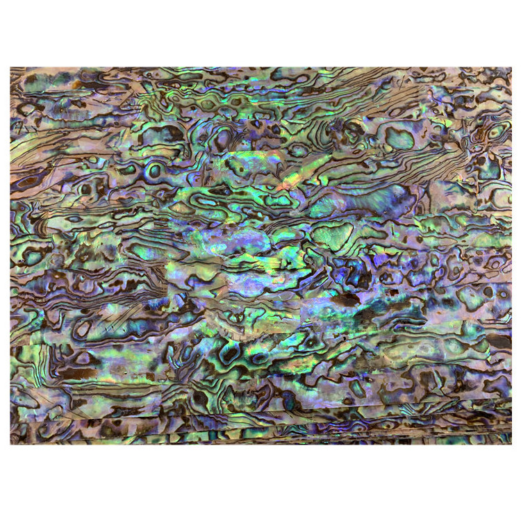 new zealand paua shell capiz shell mother of pearl inlay material ...