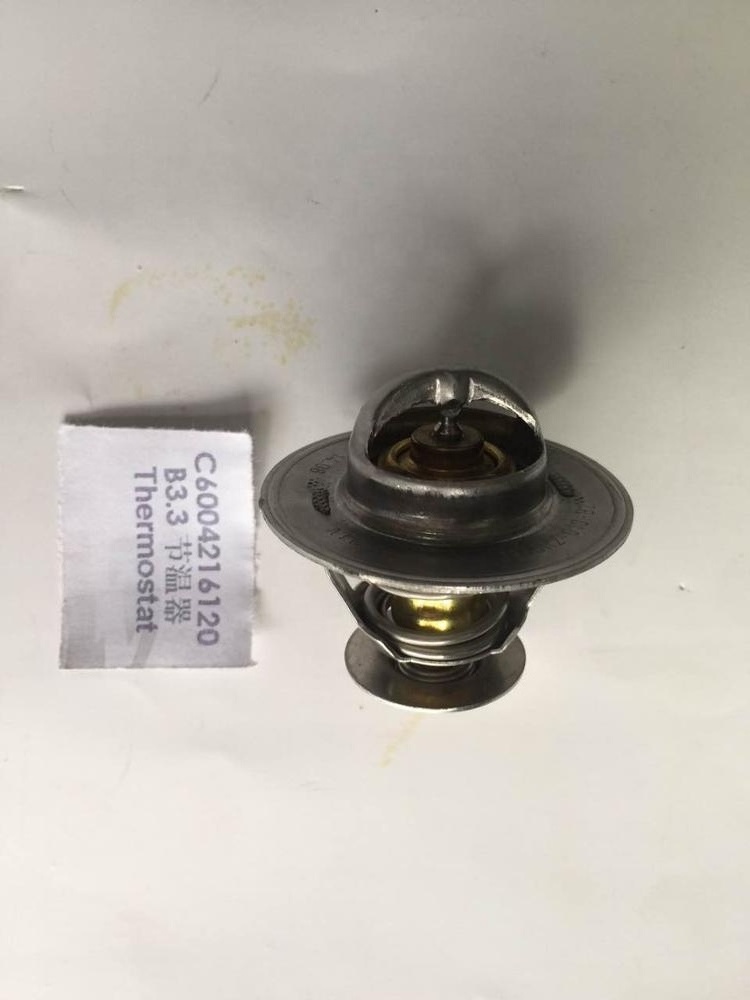 B3.3 QSB3.3 Excavator Forklift Original Diesel Engine Parts Thermostat 3800884 C6004216120