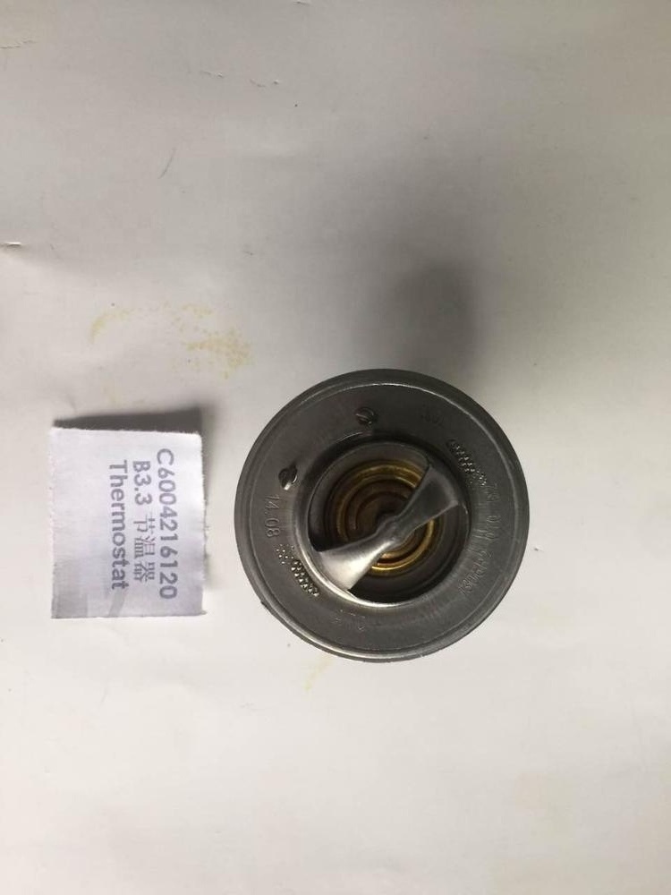 B3.3 QSB3.3 Excavator Forklift Original Diesel Engine Parts Thermostat 3800884 C6004216120