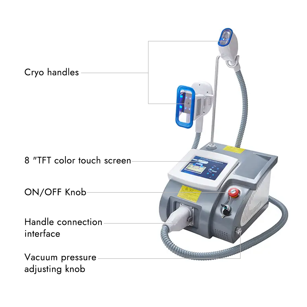 Synogal portable 3 handle cryolipolysis vacuum ABS contouring body sculpting fat freezing cryolipolysis machine