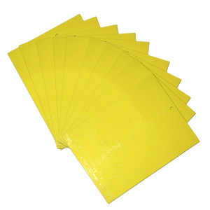 Strong Flies Traps Bugs Sticky Board Catching Aphid Insects Pest Killer Mosquito Fly Bug Glue Sticker flytrap Catcher