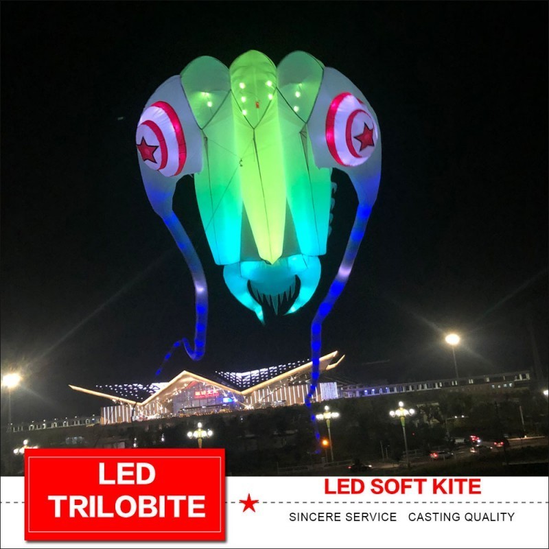 High Quality Exquisite Luminous Trilobite Luminous Kite Large Kite Umbrella Cloth Outdoor Leisure Entertainment