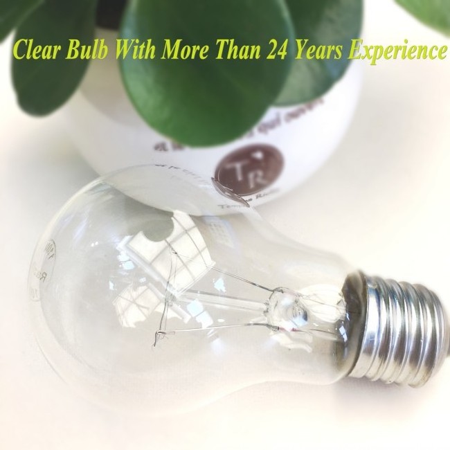 incandescent light bulb manufacturers, single filament incandescent light bulb, 100 watt clear bulb