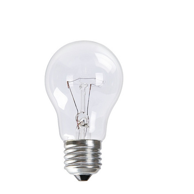 Incandescent bulb 100 W clear bulb edison lamp e27