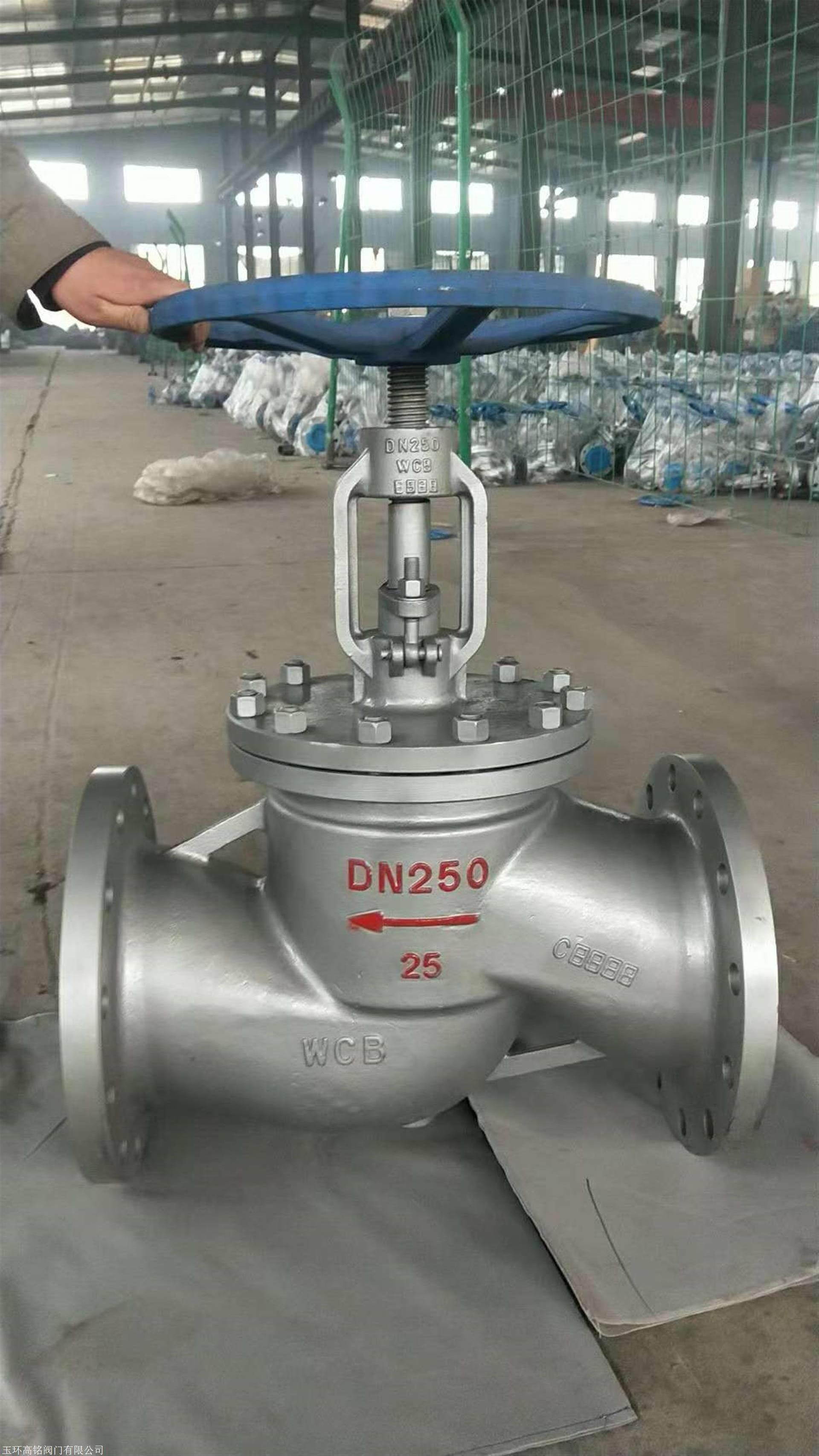 Gost Standard Rising Stem Pn16 Dn250 800lb Cast Steel Globe Valve for Water Oil Gas