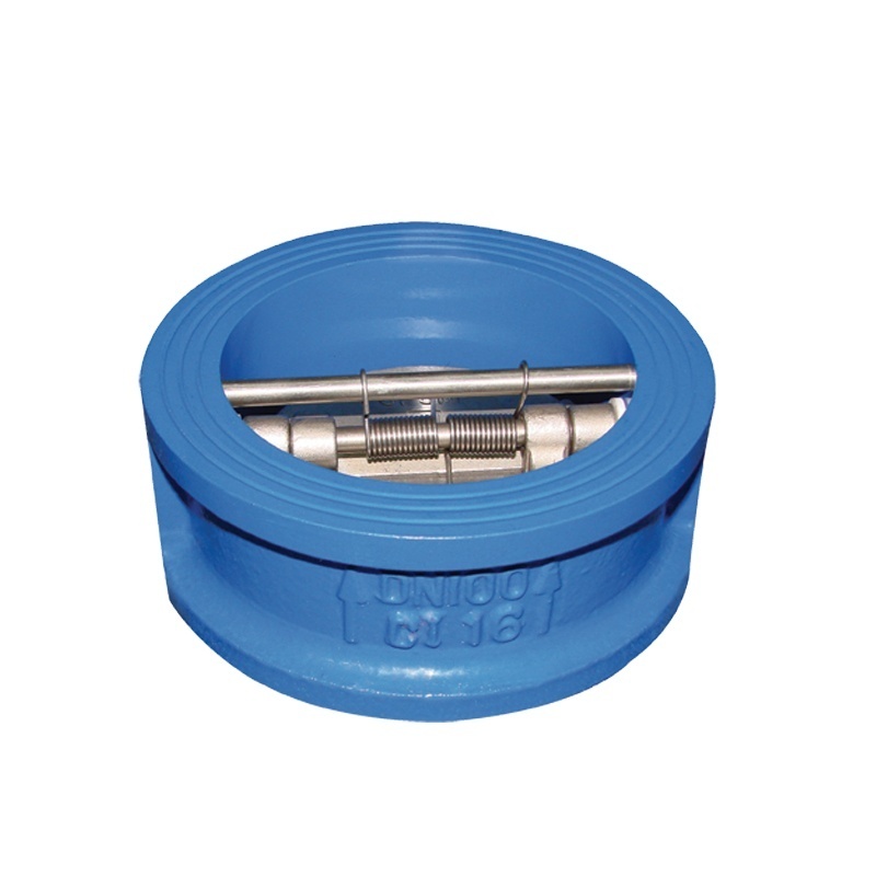 TKFM factory ductile iron body ss304 disc wafer dual plate flap check valve price