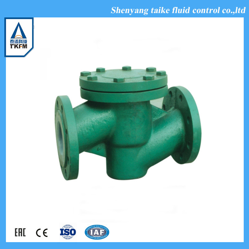 TKFM DN100 wcb material lift check valve for steam valve check symbol