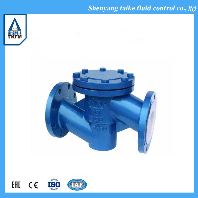 TKFM DN100 wcb material lift check valve for steam valve check symbol