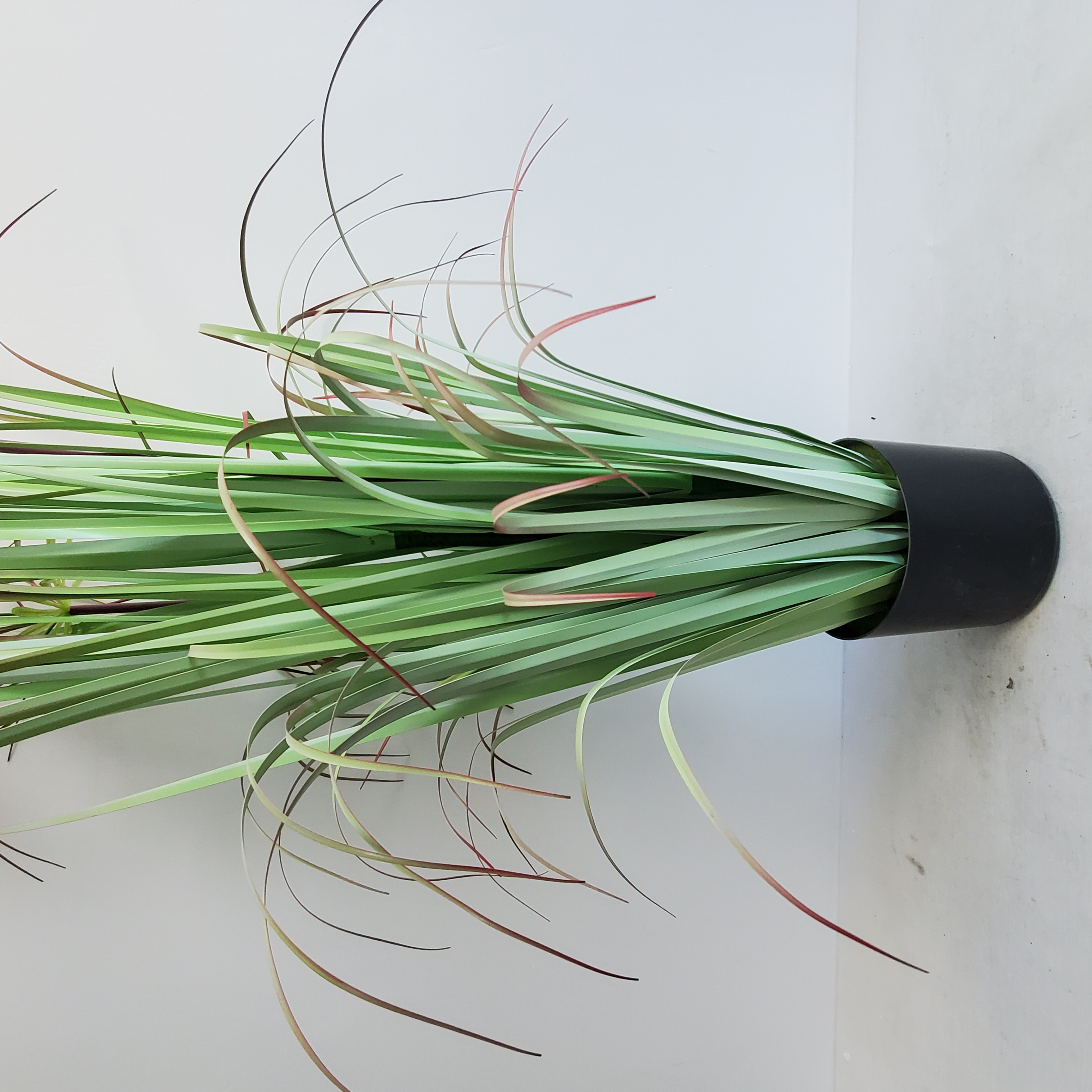 High quality onion grass artificial plant wholesale decorative Onion Grass indoor use for home or hotel decoration