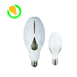 Olive bulb 60W 70W LED Bulb Light Led Magnolia lamp