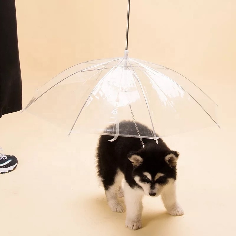 Recycled Pet Umbrella Rain Snow Day Pet Dog Umbrella Transparent Dog Print Umbrella Rain