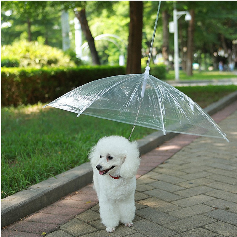 2023 Top Seller Portable Transparent Rainy Umbrella Waterproof Outdoor POE Dog Cat Pet Transparent Umbrella