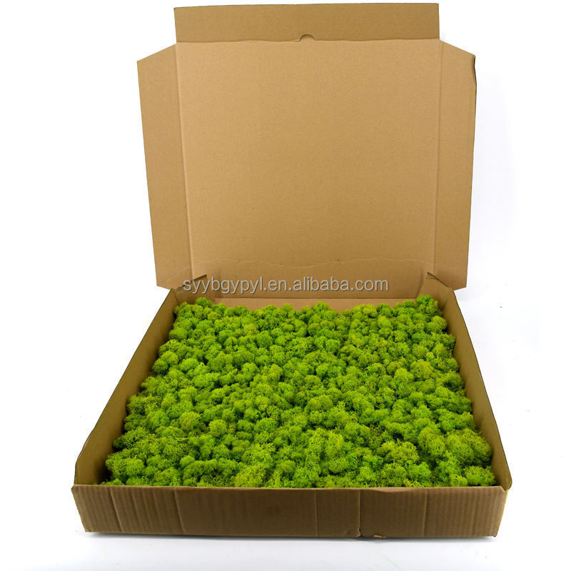 Wholesale Natural Plant Panel Decorations Natural Preserved Moss Wall For Holiday Decoration