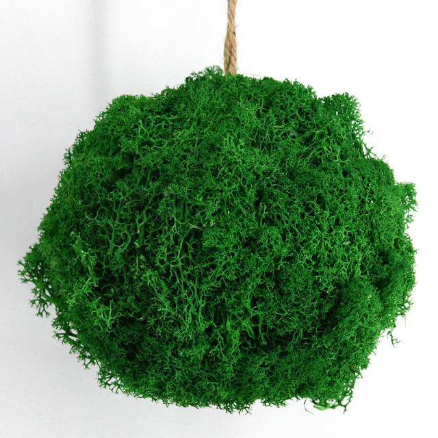 Preserved green moss ball for home decoration natural style indoor festival suppliers preserved moss