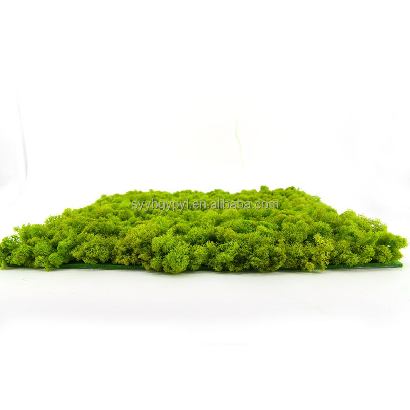 Wholesale Natural Plant Panel Decorations Natural Preserved Moss Wall For Holiday Decoration