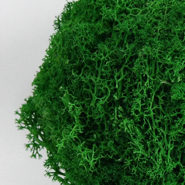 Preserved green moss ball for home decoration natural style indoor festival suppliers preserved moss